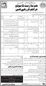 jobs in Karachi Sindh