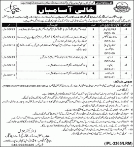 jobs in Punjab 2021