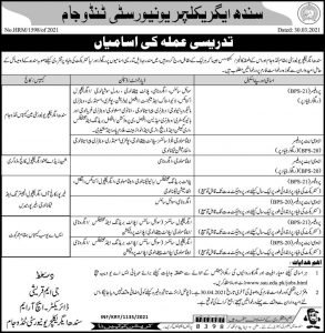 jobs in Sindh Agriculture University Tandojam 2021