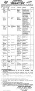 Government jobs 2021 in Pakistan