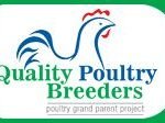 Quality Poultry Breeders Islamabad