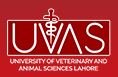 University of Veterinary & Animal Sciences - UVAS