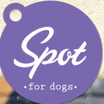 Spot Holdings