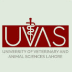 University of Veterinary and Animal Sciences (UVAS) in Lahore